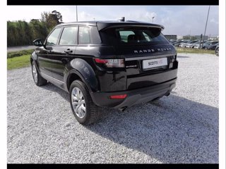 LAND ROVER Range Rover Evoque 2.0 TD4 150 CV 5p. SE