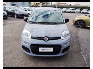 FIAT Panda 1.0 firefly hybrid city cross s&s 70cv