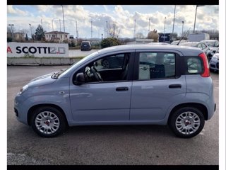 FIAT Panda 1.0 firefly hybrid city cross s&s 70cv