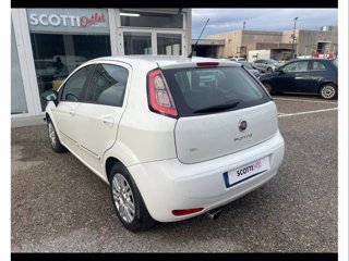 FIAT Punto 1.2 8V 5 porte Street