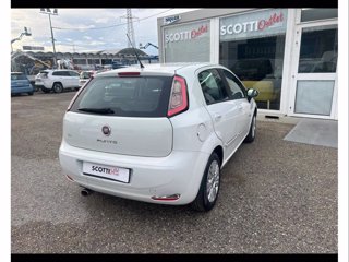 FIAT Punto 1.2 8V 5 porte Street