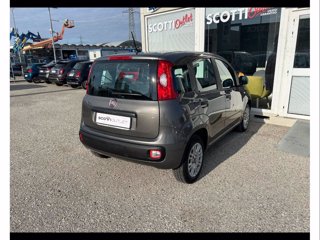 FIAT Panda 1.2 easy s&s 69cv my19