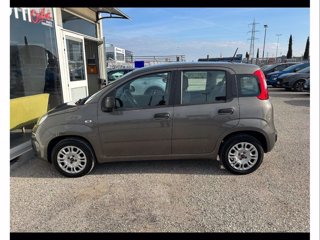 FIAT Panda 1.2 easy s&s 69cv my19