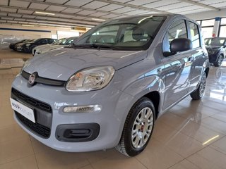 FIAT Panda 1.2 easy s&s 69cv my19