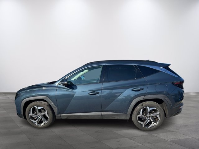 HYUNDAI Tucson 1.6 hev exellence 2wd auto