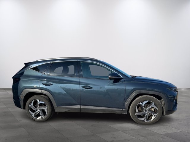 HYUNDAI Tucson 1.6 hev exellence 2wd auto