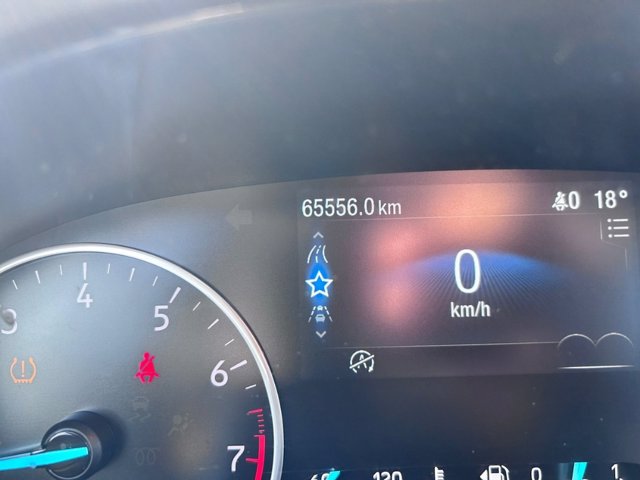 FORD Ecosport 1.0 ecoboost active s&s 125cv