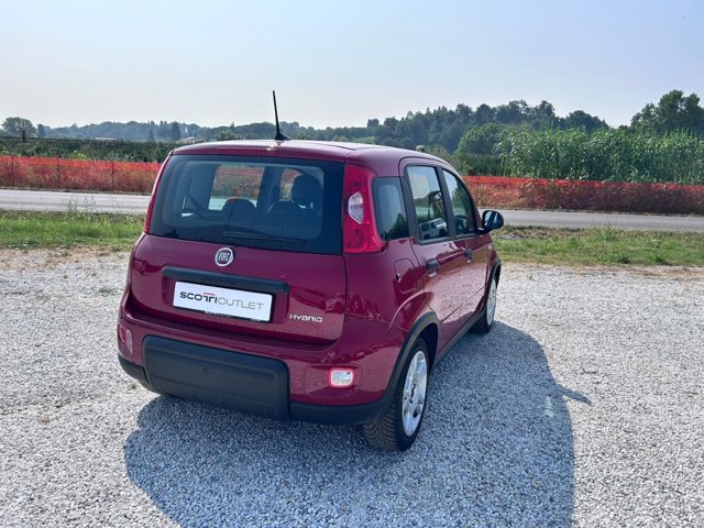 FIAT Panda 1.0 firefly hybrid s&s 70cv 5p.ti
