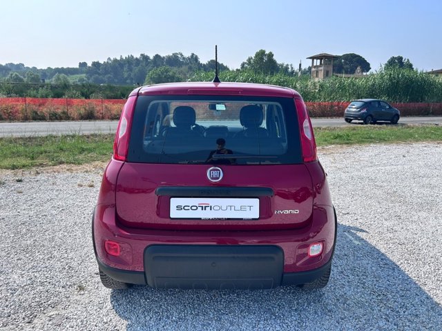 FIAT Panda 1.0 firefly hybrid s&s 70cv 5p.ti