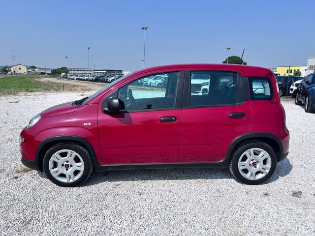 FIAT Panda 1.0 firefly hybrid s&s 70cv 5p.ti