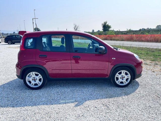 FIAT Panda 1.0 firefly hybrid s&s 70cv 5p.ti