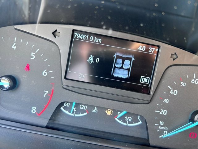 FORD Fiesta 5p 1.0 ecoboost st-line s&s 100cv my19.5
