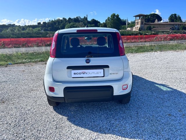 FIAT Panda 1.0 firefly hybrid s&s 70cv