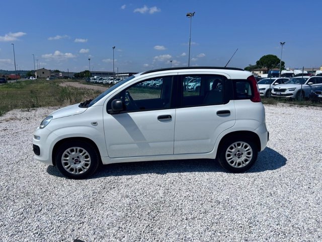 FIAT Panda 1.3 mjt 16v easy 75cv