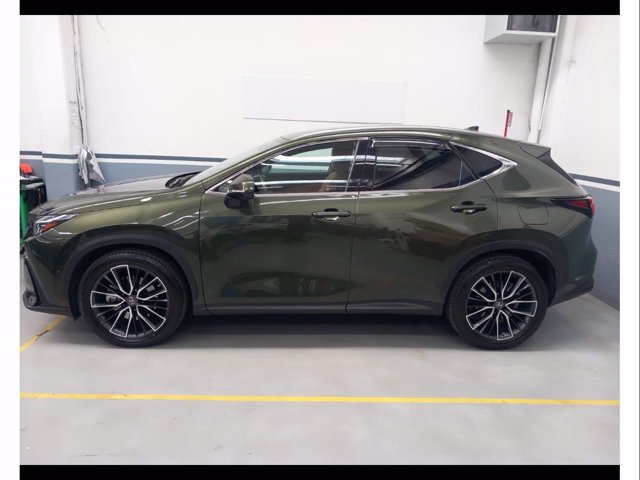 LEXUS Nx 450h+ 2.5 phev luxury 4wd e-cvt
