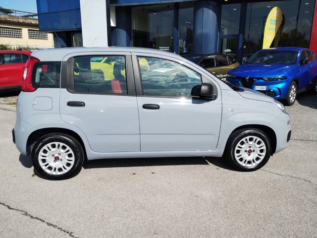 FIAT Panda 1.2 easy s&s 69cv my19