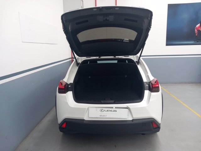 LEXUS Ux 250h 2.0 business 2wd cvt