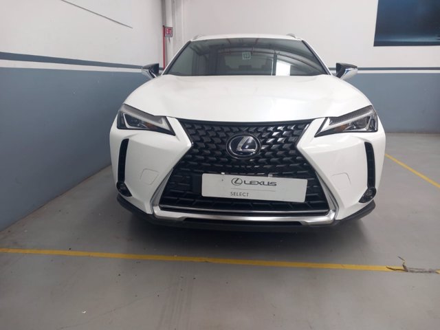 LEXUS Ux 250h 2.0 business 2wd cvt