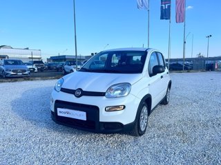 FIAT Panda 1.0 firefly hybrid sport s&s 70cv