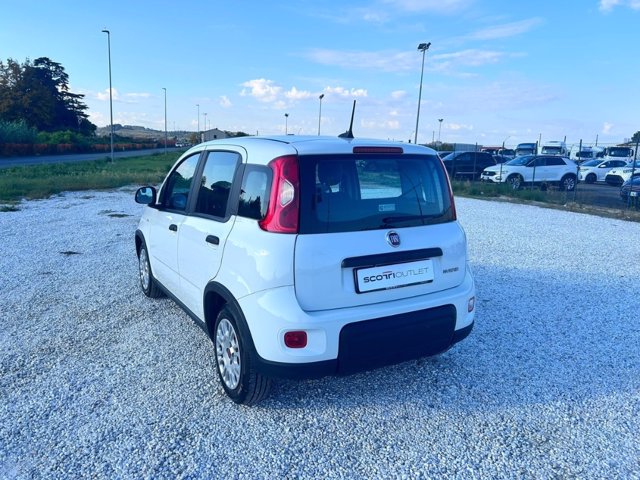 FIAT Panda 1.0 firefly hybrid sport s&s 70cv