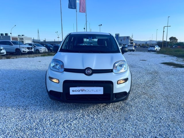 FIAT Panda 1.0 firefly hybrid sport s&s 70cv