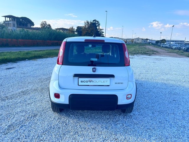 FIAT Panda 1.0 firefly hybrid sport s&s 70cv