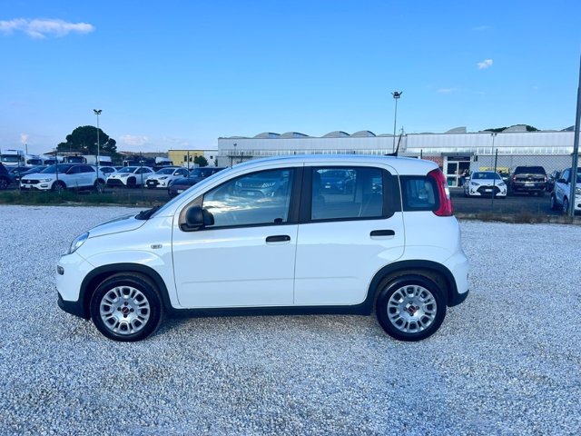 FIAT Panda 1.0 firefly hybrid sport s&s 70cv