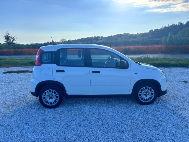 FIAT Panda 1.0 firefly hybrid sport s&s 70cv