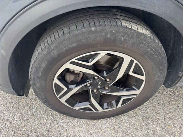 KIA Sportage 1.6 business class ecogpl 2wd 126cv