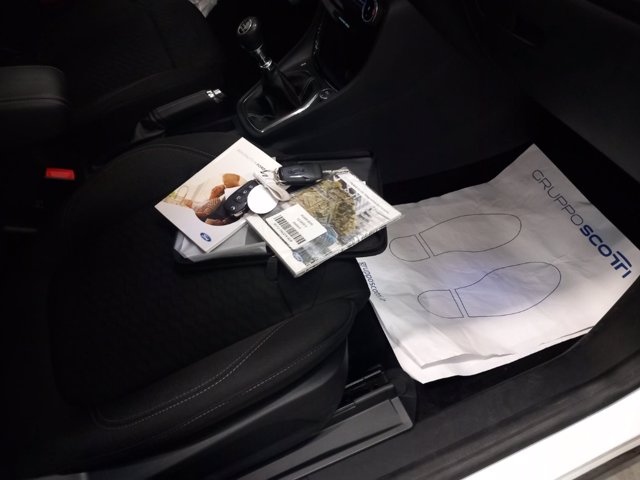 FORD Puma 1.0 ecoboost h titanium s&s 125cv