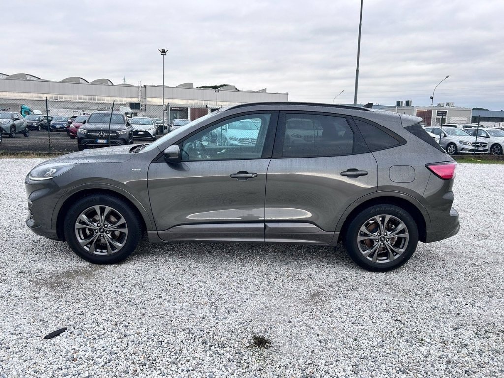 FORD Kuga 1.5 ecoblue st-line 2wd 120cv