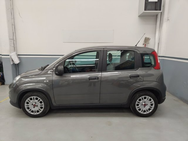 FIAT Panda 1.0 firefly hybrid s&s 70cv 5p